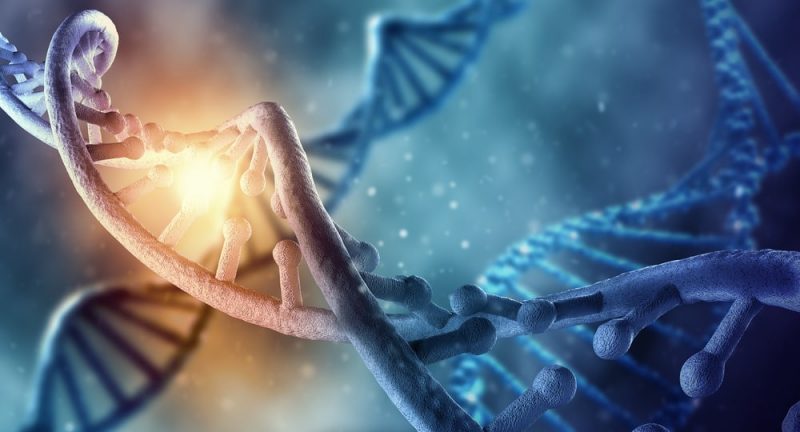 DNA 是什麼？概念、生命重要性、結構、DNA 複製和 RNA 差異