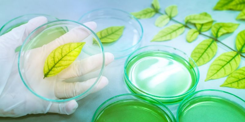 什麼是生物學？概念、特徵、歷史、重要性、輔助科學和分支