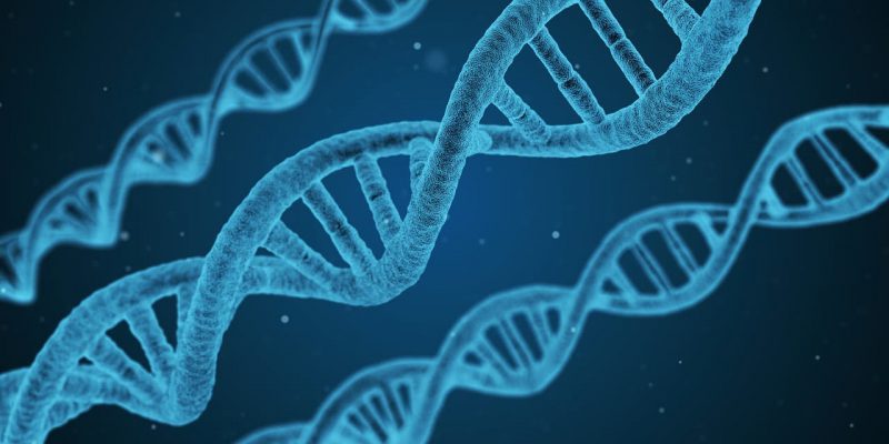 什麼是克隆？概念、基本原理、歷史和現有的克隆類型