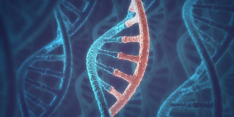 RNA 是什麼？概念、結構、不同功能、分類以及與DNA差別
