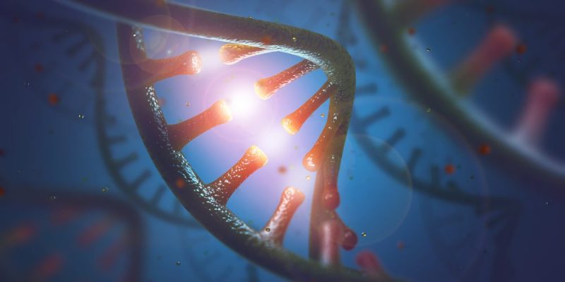 RNA 是什麼？概念、結構、不同功能、分類以及與DNA差別
