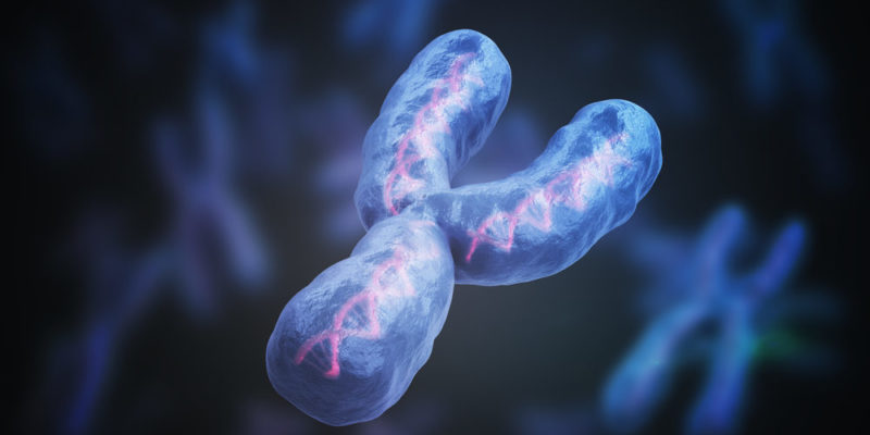 什麼是遺傳學？概念、特徵、分類、歷史以及重要性