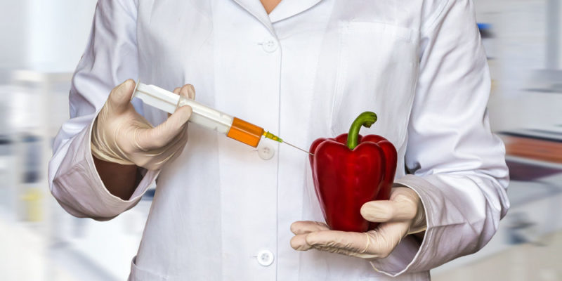 什麼是基因改造生物？概念、如何分類、如何獲得、優缺點和例子