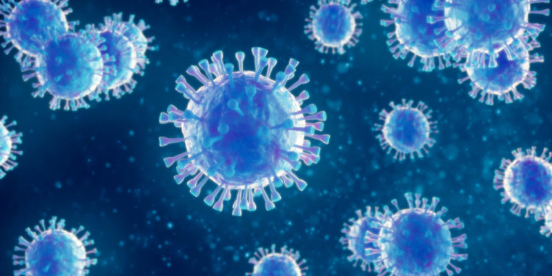 什麼是單細胞生物？概念、特徵、分類、重要性和範例