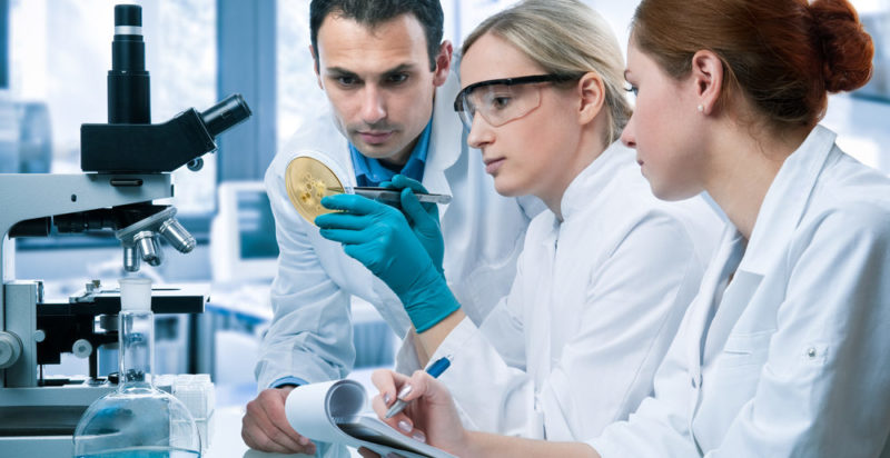 什麼是微生物學？概念、特徵、研究分支、重要性、分類及歷史