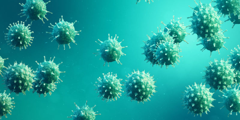 什麼是微生物學？概念、特徵、研究分支、重要性、分類及歷史