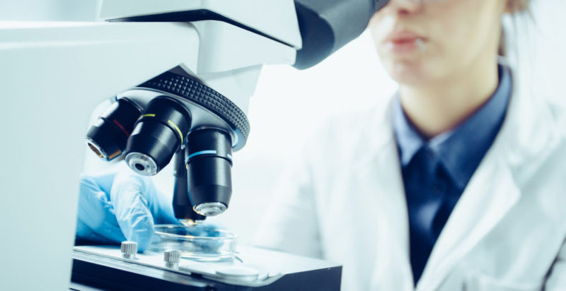 什麼是微生物學？概念、特徵、研究分支、重要性、分類及歷史