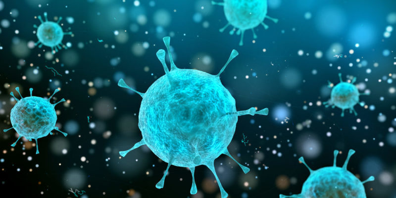 什麼是生物領域？概念、特徵、主要功能