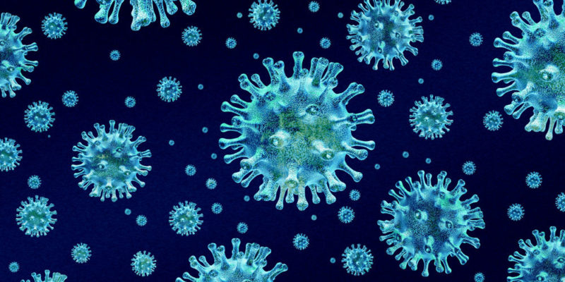 什麼是微生物？概念、特徵和分類
