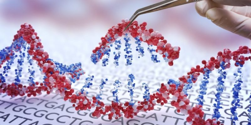 基因是什麼？概念、如何運作、結構、如何分類、基因操縱和突變