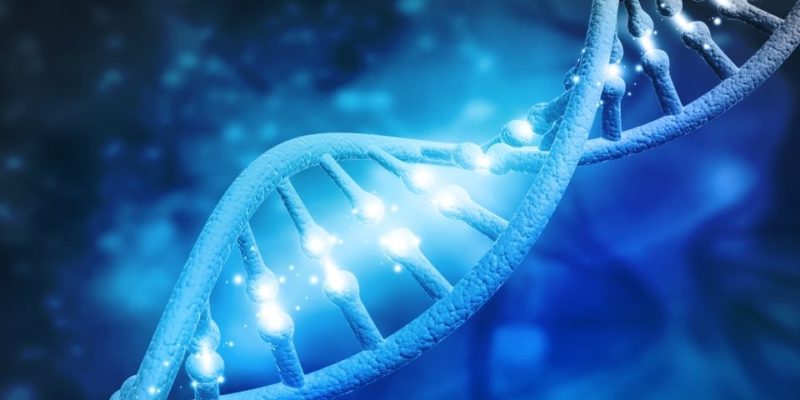  DNA 的結構是什麼？概念、存在類型如何被發現