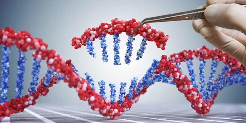 什麼是基因改造生物（GMO）？概念、特徵、優點、缺點以及用途