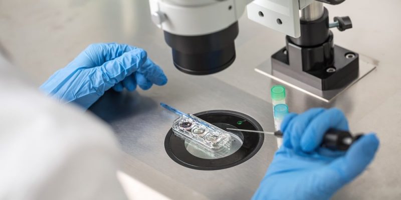 生物學的分支是什麼？概念、特徵、分類和例子