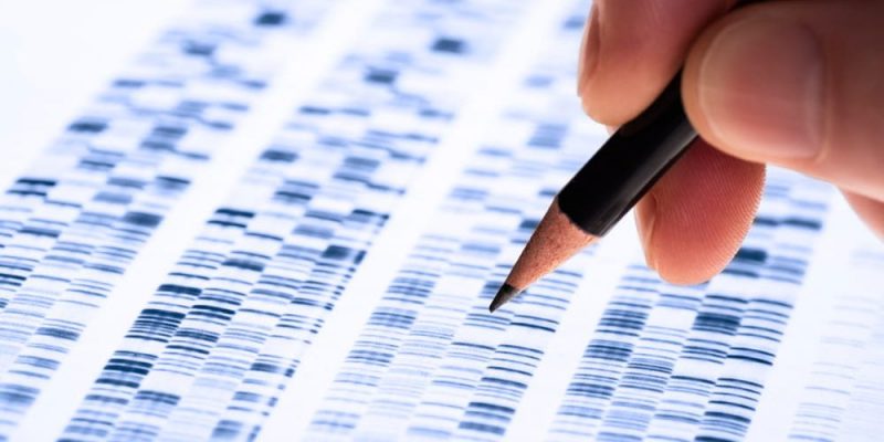 生物學的分支是什麼？概念、特徵、分類和例子