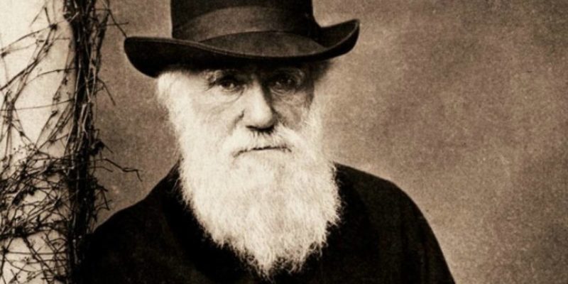 生物學的歷史？概念、特徵、早期前因與科學革命的關係和主要人物