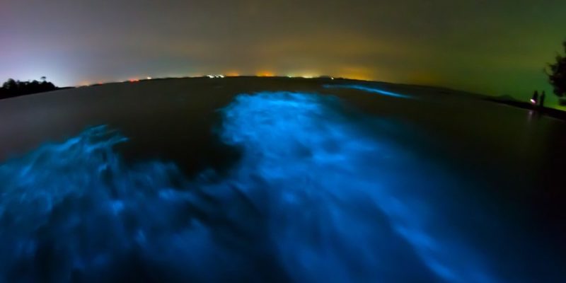 什麼是生物物理學？概念、它的目標、研究對象和分支、重要性