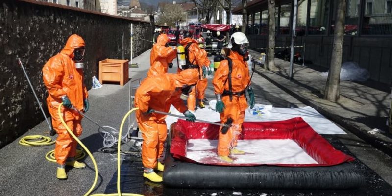 什麼是微生物？概念、特徵、分類和例子