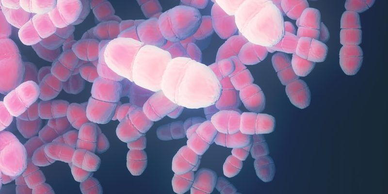什麼是微生物？概念、特徵、分類和例子