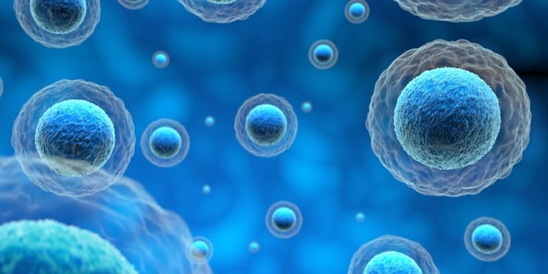 生命的起源是什麼？概念、特徵、各種理論、科學