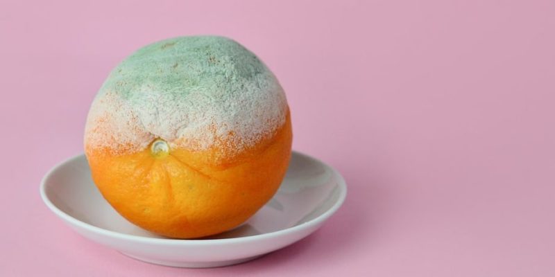 生命的起源是什麼？概念、特徵、各種理論、科學