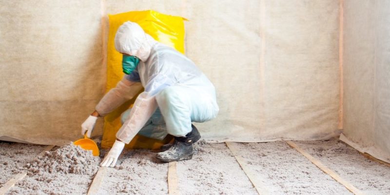 什麼是纖維素？概念、功能、特性和用途、發現歷史