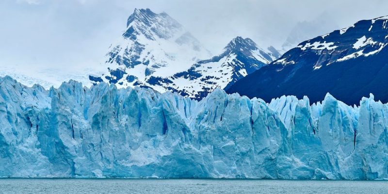 什麼是生物因素和非生物因素？概念、特徵、關係以及例子