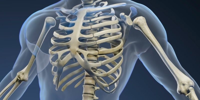 有關骨骼的一切？概念、如何分類、功能和結構、人體有幾塊骨頭？