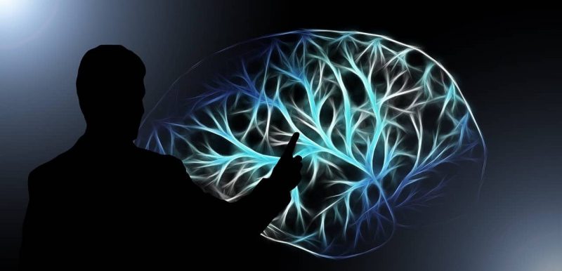 什麼是人類思維？概念、特徵、存在類型和研究思想