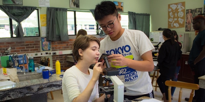 什麼是發現學習？概念、特徵、原則、實施優點和作用