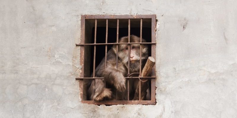 什麼是法律法規？概念、特點、如何分類以及各種範例