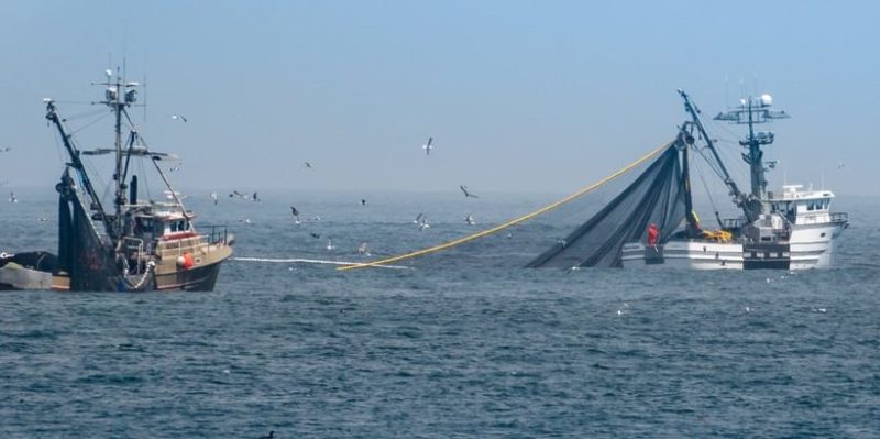 什麼是食品工業？概念、基本流程、部門、全球重要性和其他特徵