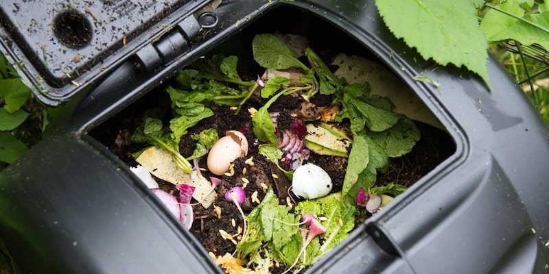 什麼是可生物降解材料？概念、特徵、類型和例子