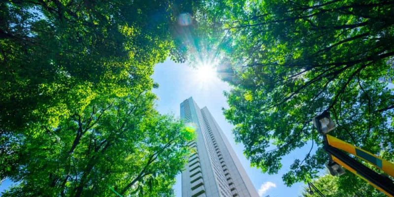 什麼是經濟活動的環境責任？概念、特徵、類型和規定義務