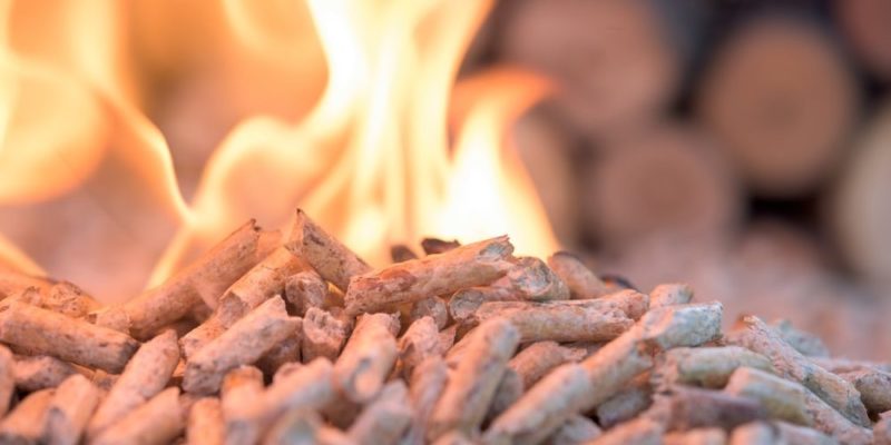 什麼是再生能源和不可再生能源？概念、特徵、類型、重要性以及核能