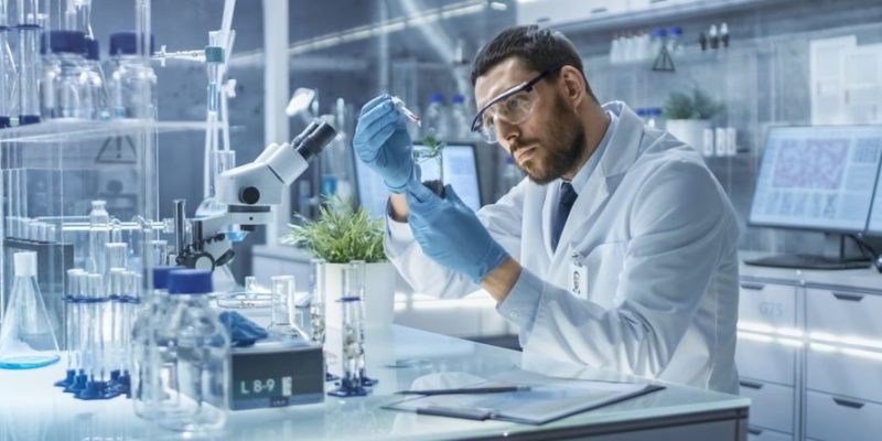什麼是定性和定量研究？概念、區別、特徵、存在類型、技術和方法