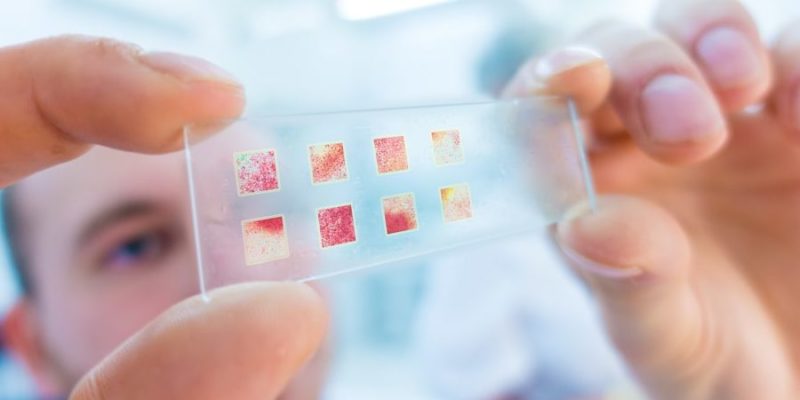什麼是研究技術？概念、特徵、類型、示例及與研究方法的區別