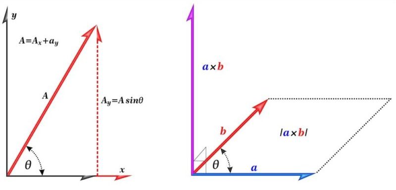 物理學和數學中的向量是什麼？概念、含義、類型、特徵和示例