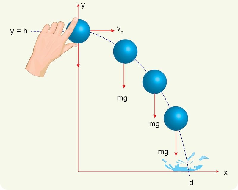 物理學和數學中的向量是什麼？概念、含義、類型、特徵和示例