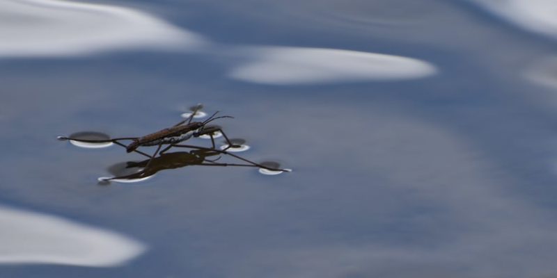 液體的特性是什麼？？概念、初級或熱力學特性以及次級或特定行為