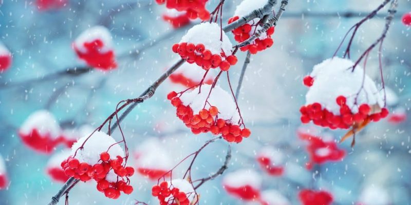 物理學中的沉積是什麼？概念、如何發生的以及各種例子