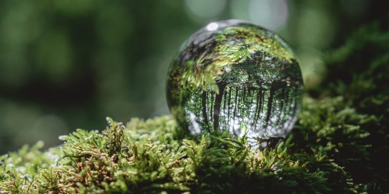 物理學中的反射是什麼？概念、區別以及各種示例