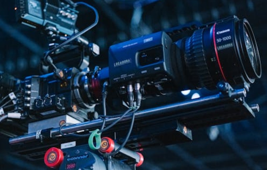 什麼是相對頻率?概念、相對頻率與絕對頻率、範例 什麼是相對頻率?概念、相對頻率與絕對頻率、範例