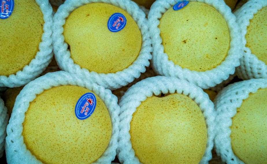 什麼是公共赤字？概念、特徵、成因 、計算方法 、資金來源、範例