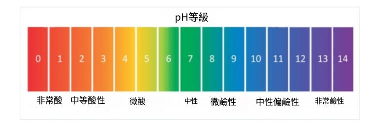 什麼是pH值？概念、測量儀器、pH值標度、酸性和舉例