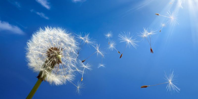 什麼是空氣？概念、組成成分、範例、物理和化學性質、空氣污染