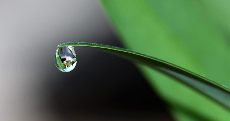 什麼是水?概念、組成、用途和重要性、不同類型、狀態以及水循環 什麼是水?概念、組成、用途和重要性、不同類型、狀態以及水循環